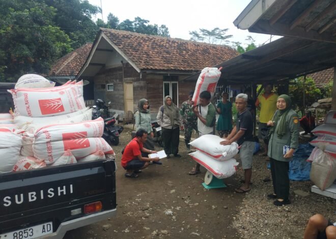 Kodim 0610 Sumedang Kawal Serap Gabah Petani untuk Perkuat Ketahanan Pangan