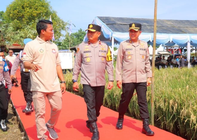 Kapolres Pandeglang Dampingi Wakapolda Banten Panen Raya Padi Dukung Ketahanan Pangan Nasional