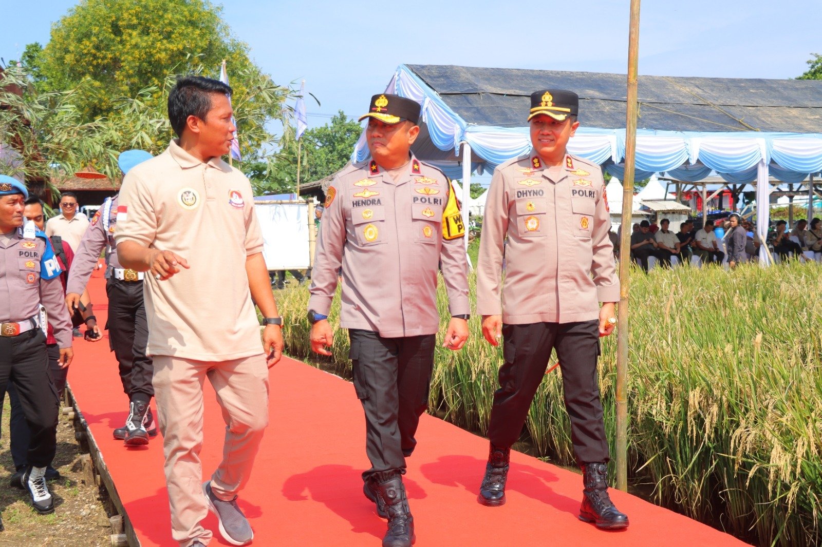 Kapolres Pandeglang Dampingi Wakapolda Banten Panen Raya Padi Dukung Ketahanan Pangan Nasional