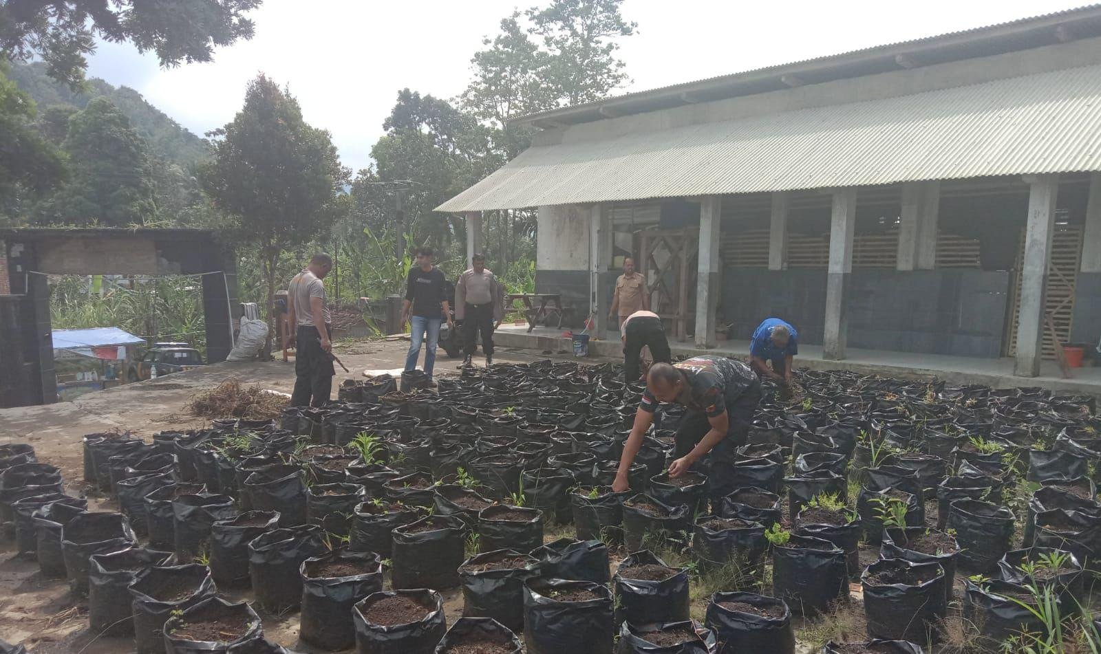SAT RESNARKOBA POLRES SUMEDANG DUKUNG KETAHANAN PANGAN MELALUI PROGRAM PENANAMAN UBI CILEMBU DALAM POLYBAG