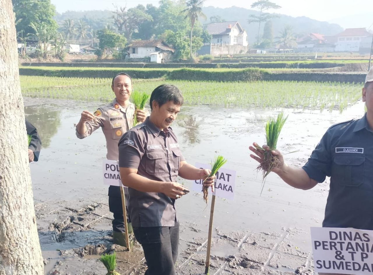 Satuan Narkoba Polres Sumedang Dukung Gerakan Percepatan Tanam Untuk Perkuat Ketahanan Pangan Nasional