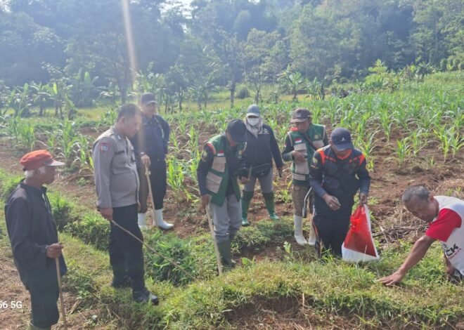 Bag Sdm Polres Sumedang Dukung Ketahanan Pangan Melalui Lomba Pembasmian Hama Tikus Di Jatinungal