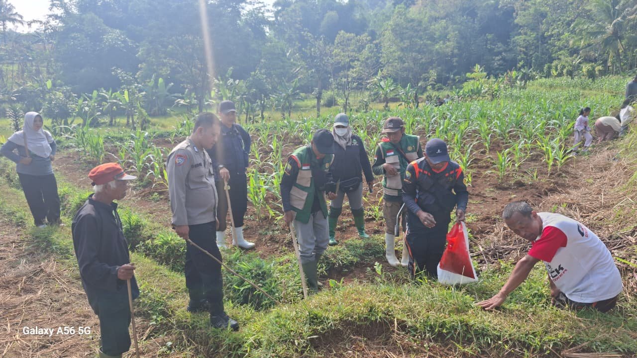 Bag Sdm Polres Sumedang Dukung Ketahanan Pangan Melalui Lomba Pembasmian Hama Tikus Di Jatinungal